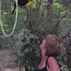 Izzy_and_toucan_thumb