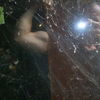 S5000331_thumb