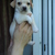 Dsc07348_tiny_square