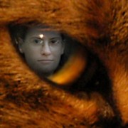 Catseye_card
