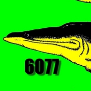 6077_card