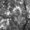 Cherry_blossom_bw_thumb