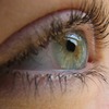 Sunny-eyes-012b_thumb