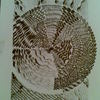 10072008_thumb