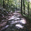 Cimg0204_thumb