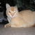 Pc280015_tiny_square