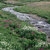 Creek_tiny_square