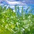 101_0220_tiny_square