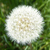 Ab_tiny_square
