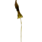 Flower-14_card