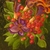 Medley_600_tiny_square