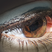 Eye_card