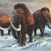 Mammoth1_square