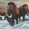 Mammoth1_thumb