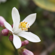 Img_0876_card