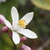Img_0876_tiny_square