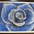 Art_002_tiny_square