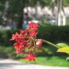 Img_1611_thumb