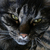 Otterclose_tiny_square