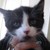 Vincent3_tiny_square