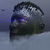 Steohawk_tiny_square