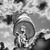 Shallow_tiny_square