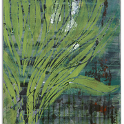 Plant__card