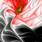 Redrose_card