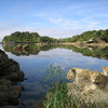 1072a-natural_pride_thumb