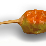 Small_pepper_a_card