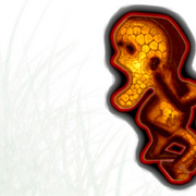 Sandmummy10246xv_card
