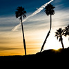 _mg_1692_thumb