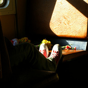 Sunlit_tt_card