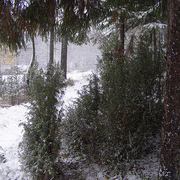 The_first_snow_breathing_card