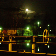 524934041_982b3af517_card