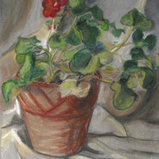 Geranium_pastel__card