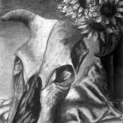 Skull_card