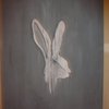 Whiterabbit_thumb
