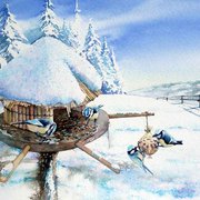 294_jw_card