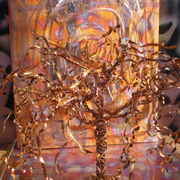 2007-12-08_01-38-37_0009_resize_card