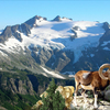 1072c-bighorn_moment_thumb