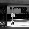 P1060007_copy_thumb
