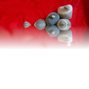 Stones_card