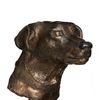 Jack_russel_thumb