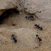 Img_2266__small__card