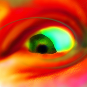 Eye_card