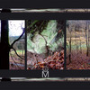 M_nature_base_02_thumb
