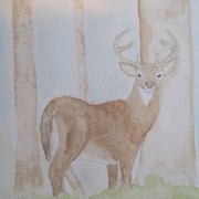 Joshxmasdeer_card
