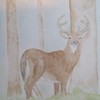 Joshxmasdeer_thumb