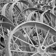 Wheels1_bw_card